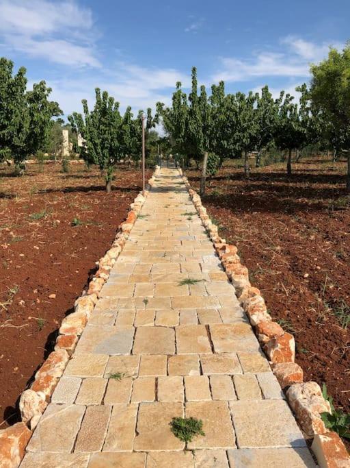Ulivo Villa Monopoli Bagian luar foto